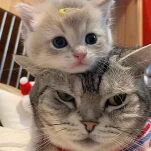 爽⋯好紧⋯别夹⋯喷水开
